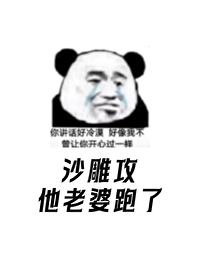 我是傻子什么意思