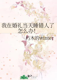 飞鸿祚雪