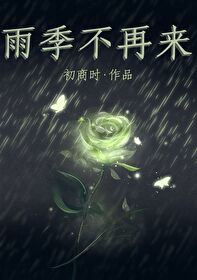 雨季不再来歌词