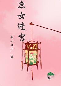 庶女进宫 雀小公子