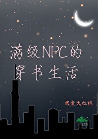 我是满级npc